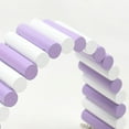 thumbnail image 4 of Bridge Wood Hamster Arch Bridge Bendable Colorful Small Animal Climbing Ladder for Hamsters Mice Rabbits, 4 of 5