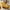 Single -Yellow, variant on Sleeper Sofa Bed with Pillow and Pocket, Lofka Single Recliner Convertible Chair Bed Couch for living room, Yellow