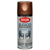 Krylon Fusion Hammered Finish for Plastic Spray Paint, Copper