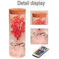 thumbnail image 3 of Real Eternal Gypsophila paniculata Bottle Lamp con control remoto LED Night Light Wishing Gift Zhivalor CPB-SSW1689-2, 3 of 5