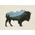 thumbnail image 2 of Davies Babies 24x18 White Modern Wood Framed Museum Art Print Titled - Grand Teton Bison, 2 of 4