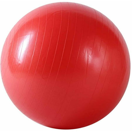 Sunny Health & Fitness Anti-Burst Exercise Gym Ball w/ Pump -