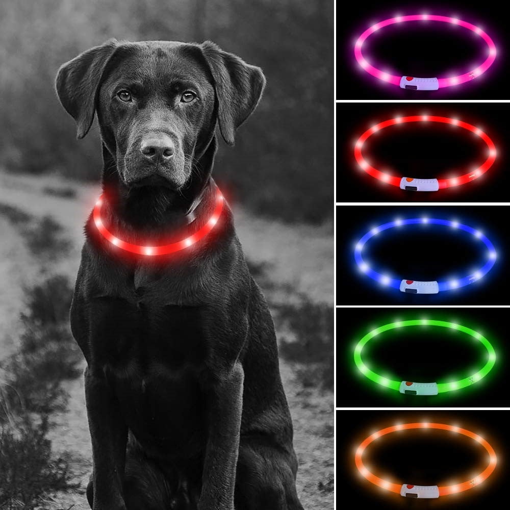 BSEEN Nylon LED Dog Collar USB Rechargeable Adjustable Glowing Pet Collar Light Up Puppy Collars for Nighttime Dog Walking