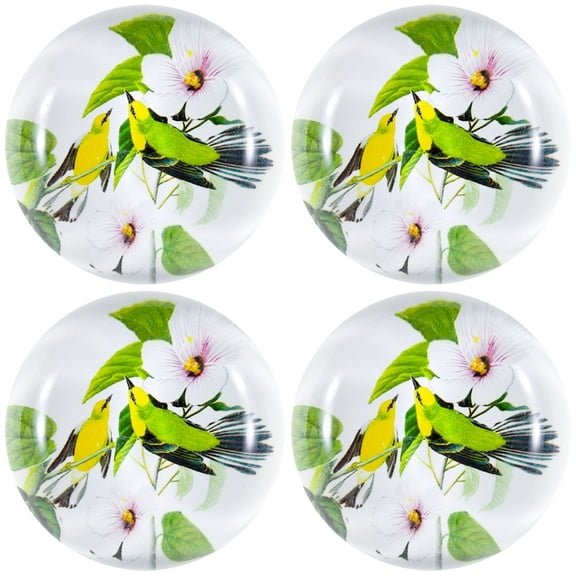 Blue-Winged Warblers In Branches Set Of Four Crystal Magnets