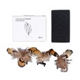 thumbnail image 2 of Interactive Cat Toy 3Pcs Pet Feather Toy Feather Cat Scratching Toy For Pet Kitten Cat, 2 of 8