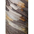 thumbnail image 2 of Geyman, Vitaly 13x18 Gold Ornate Wood Framed with Double Matting Museum Art Print Titled - Bark Art I, 2 of 4