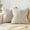 Beige, variant on Knubmt 2 Pcs Linen Throw Pillow Covers with Zipper, Decorative Pillows Case Square Cushion Covers for Sofa Couch Bed Living Room, 20x20 inch