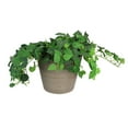 thumbnail image 2 of Northlight 8" Brown Ribbed Rim Round Eco-Friendly Flower Planter, 2 of 2