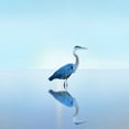 thumbnail image 2 of McLoughlin, James 26x26 Black Ornate Wood Framed with Double Matting Museum Art Print Titled - Beachscape Heron II, 2 of 4