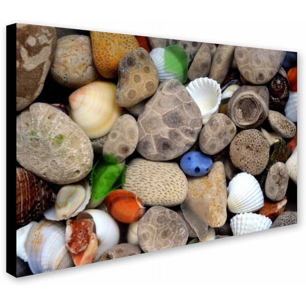 Trademark Fine Art "PetoskeyStones lll" Canvas Art by Michelle Calkins