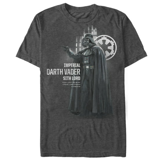 Men's Star Wars Rogue One Darth Vader Sith Lord Graphic Tee Charcoal Heather Large