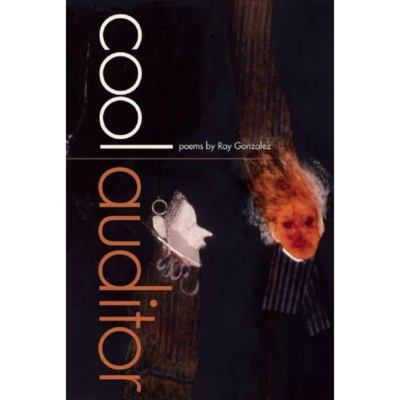 Cool Auditor (Paperback)