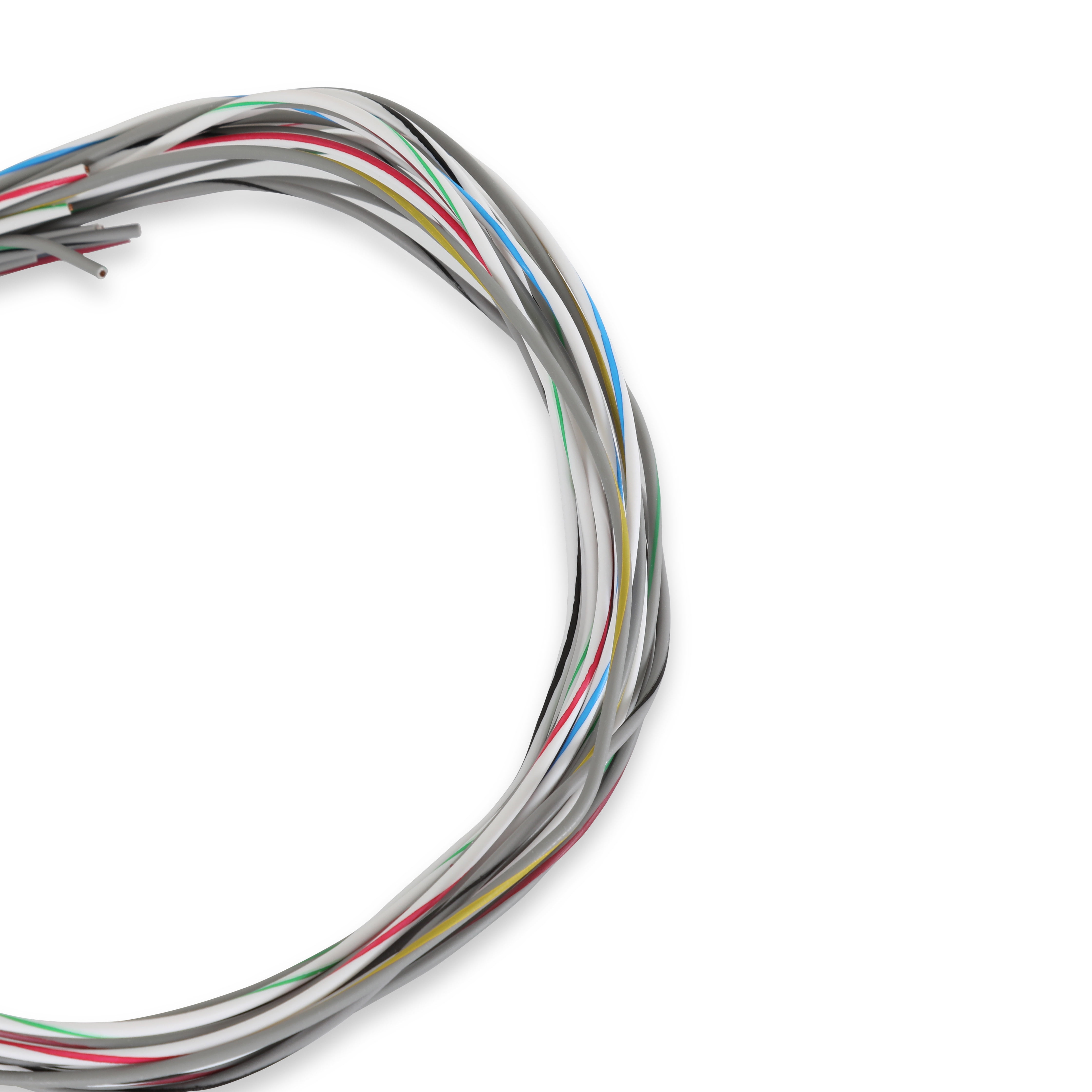 Holley EFI 558-462 Terminator X Input/Output Harness