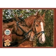 thumbnail image 2 of Cobble Hill 275 piece easy handling puzzle - Friends Forever - large pieces and reference poster for seniors, 2 of 7