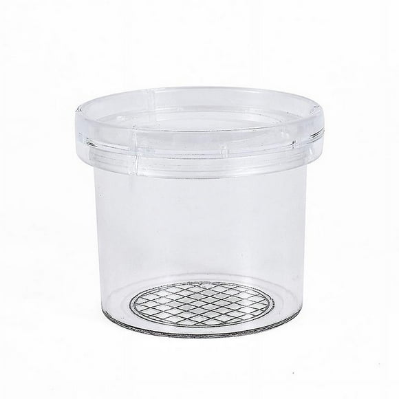 Bug Spectateur Créature Cage- Insectes Loupe Boîte, Insectes Bug Loupe Container Catcher Insectes Observation Pot Science Exploration de La Nature
