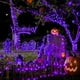 thumbnail image 2 of Cadena de luces JMEXSUSS, 50 m, 500 LED, color morado, 8 modos, resistente al agua, 2 of 7