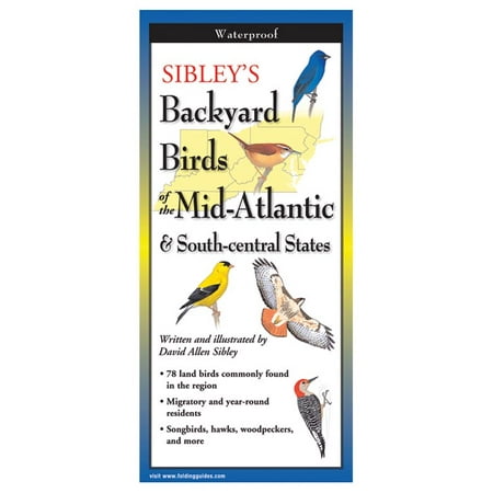 Sibley's Back Birds Of Mid Atl, David Allen Sibley, Publisher - Steven BBM-109 - Steven