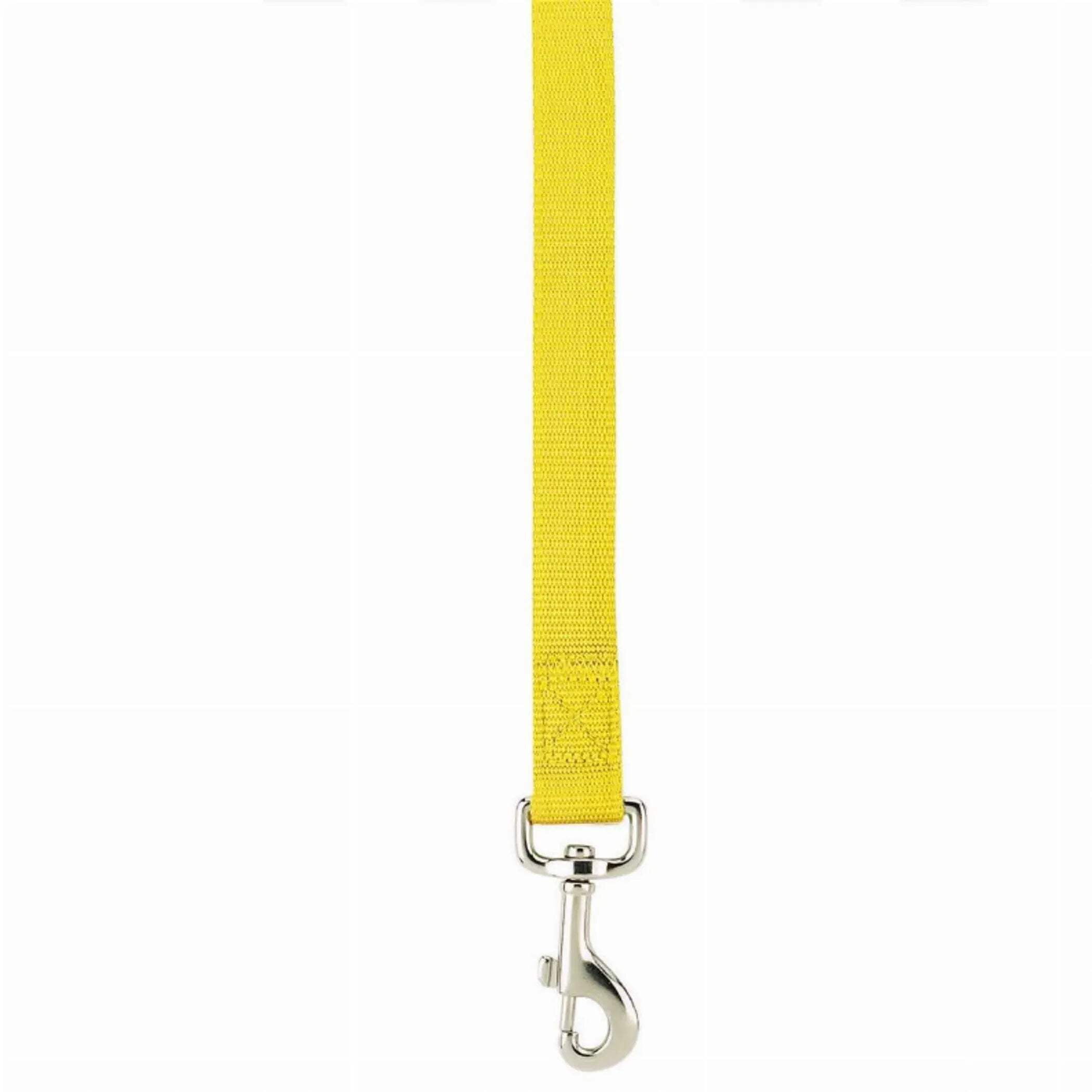 Casual Canine ZM2392 66 31 6 ft. x 1 in. Basic Nylon Dog Leash Lead, Brown