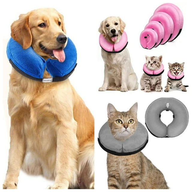 Cônes Souples pour Chien Moyen - Collier Cône Gonflable Élisabéthain
