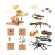 thumbnail image 4 of Juguetes de aprendizaje del ciclo de vida, accesorios didácticos, animales, plantas, figuras, juguetes Montessori Estilo B, 4 of 9