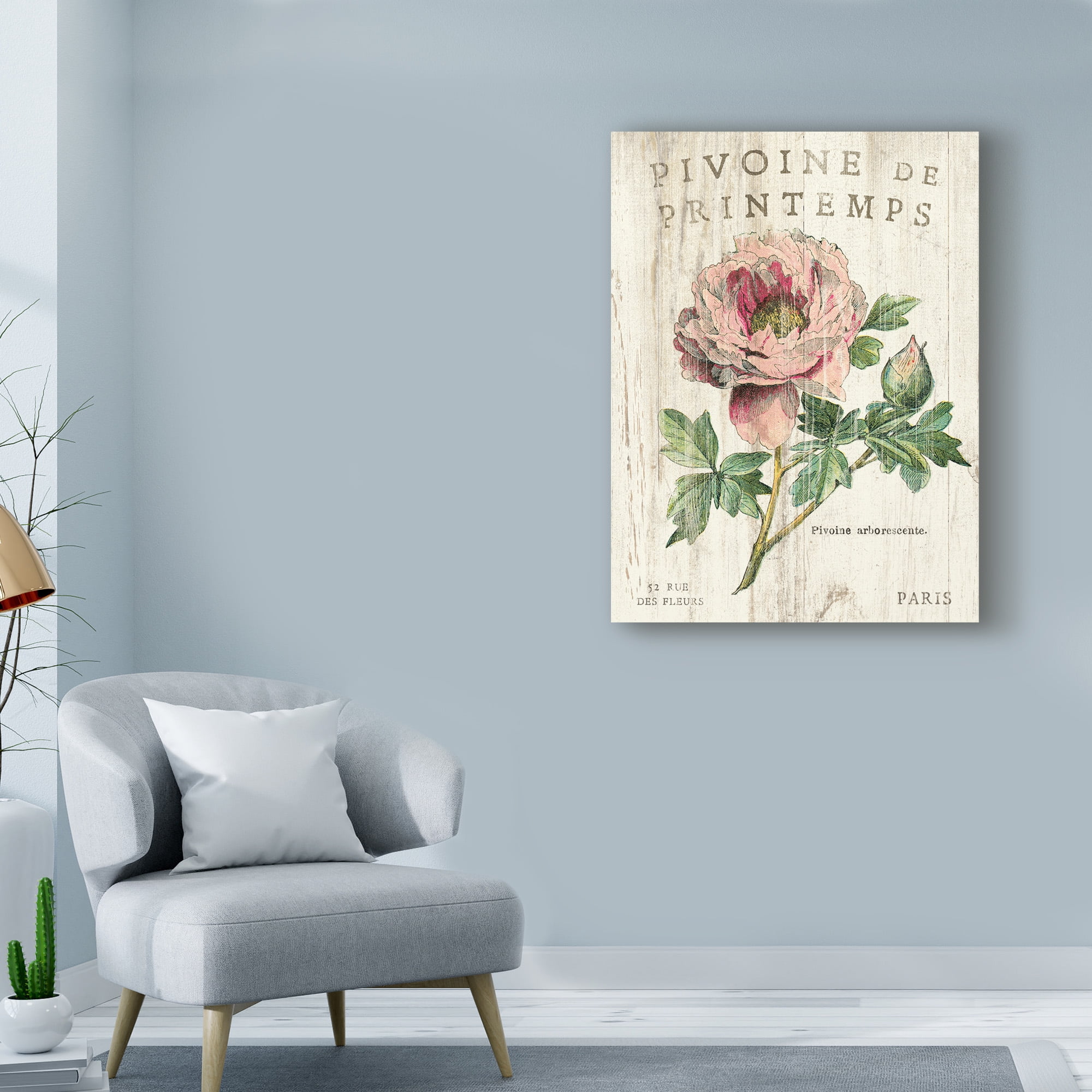 Trademark Fine Art 'Pivoine de Printemps' Canvas Art by Sue Schlabach