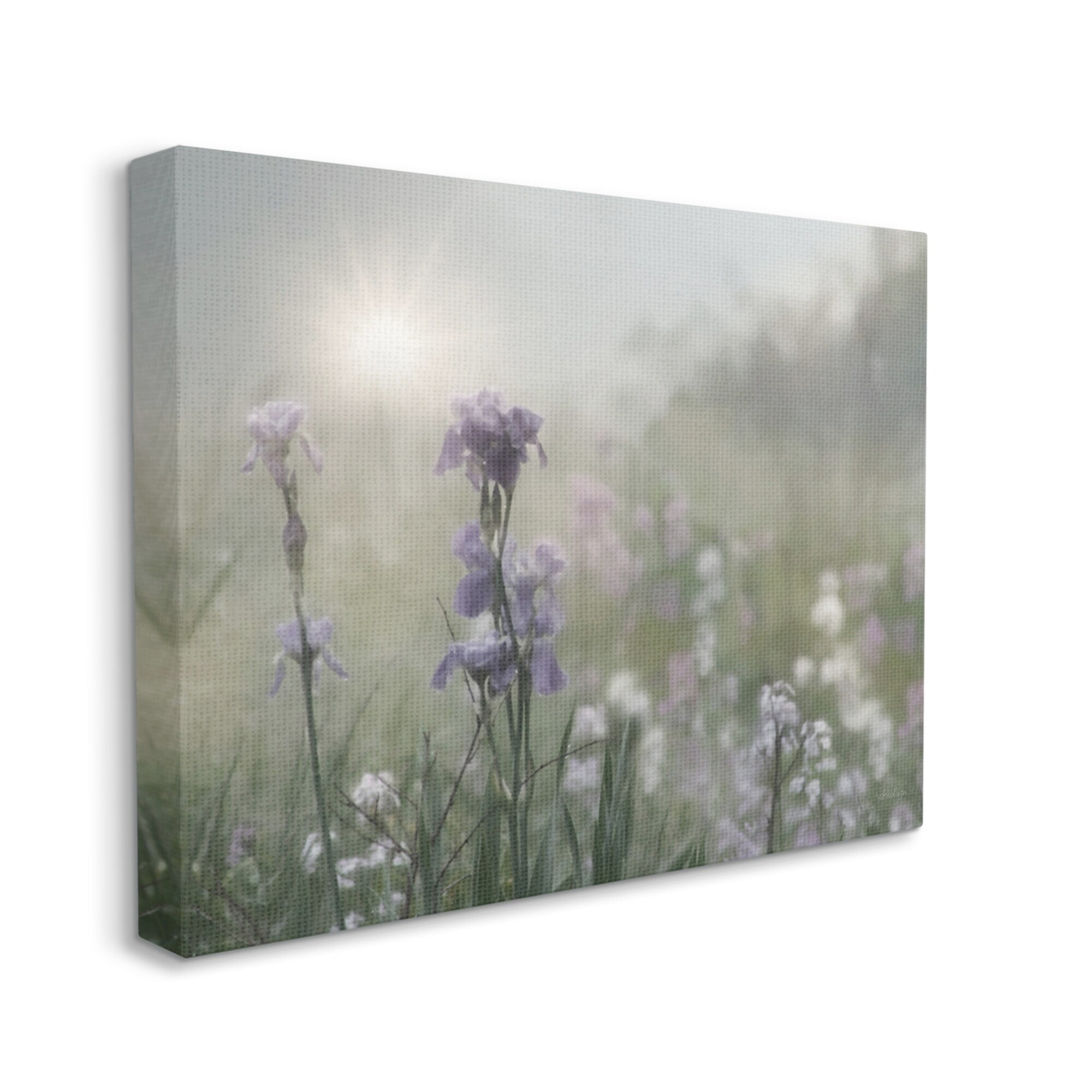 Stupell Industries Morning Violet Field Blooming Sung Glare Photography, 30 x 24,Design by Lori Deiter