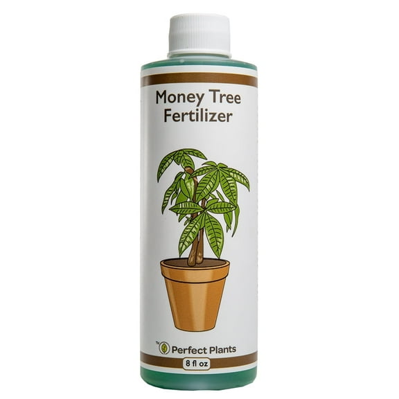 Liquid Money Tree Fertilizer 8oz. of Premium Concentrated Indoor and Outdoor Pachira Aquatica Fertilizer, Use with Containerized Houseplant Money Trees