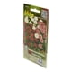 thumbnail image 2 of Semillas Margarita Botoncitos Vita Verde 0.1G, 2 of 3