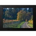 thumbnail image 2 of Crane, Rita 18x13 Black Modern Framed Museum Art Print Titled - After the Harvest I, 2 of 5