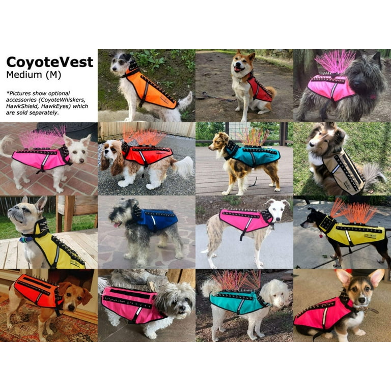 Spiked Dog Collar Dog Vest For Coyote Protection CoyoteVest Dog