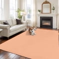 thumbnail image 2 of 8'x10' Area Rugs, Peach Fuzz Indoor Outdoor Area Rug for Living Room Bedroom, Solid Color Farmhouse Peach Fuzz Washable Bathroom Rugs Kitchen Floor Carpet Mats Home Decor Aesthetic, 2 of 8