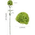 thumbnail image 3 of 4Pcs Fake Dianthus Artificial Greenery Stem Realistic Green Tricks for Home Kitchen Wedding Courtyard Decoration (Dark Green), 3 of 5