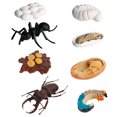 thumbnail image 1 of Miangastore Cognitive Toy Insect Model Assorted Color 8Pcs 4.3X3.1X1.2in, 1 of 8