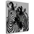 thumbnail image 2 of 30" x 30" Namibia Zebras By Nina Papiorek - Print on Canvas Fabric Multi-Color, 2 of 2