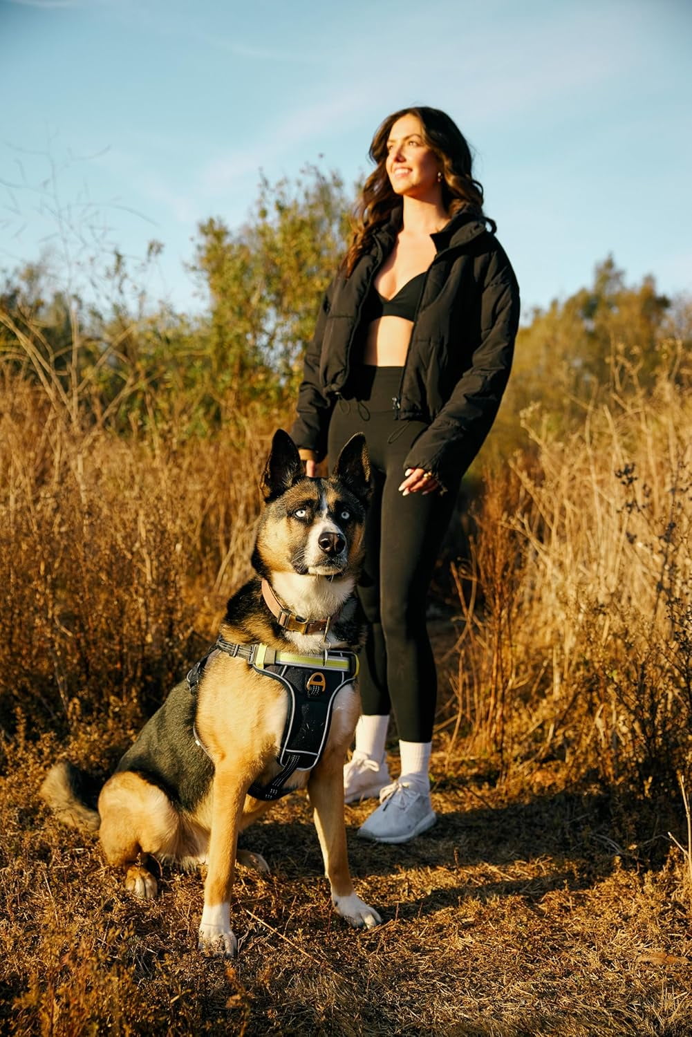 Lumi One LED Dog Harness – High Visibility Light Up Dog Harness for Night Walks – 1000 Lumen LED Dog Vest with Rechargeable Battery, Adjustable Fit & Reflective Dog Apparel (BLACK, EXTRA LARGE)
