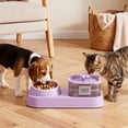 thumbnail image 5 of Cat Water Fountain with Food Bowl, Automatic Pet Water Dispenser with Large Capacity Cat Bowl Set _ #02 _ Purple _ A, 5 of 6