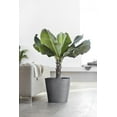 thumbnail image 3 of Ecopots Amsterdam Durable Modern Round Indoor/Outdoor Recycled Based Composite Flower Pot Planter, Grey, 16", 3 of 4