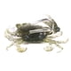 thumbnail image 1 of Señuelos de pesca falsos de cangrejo con anzuelo que se hunde Crankbait Artificial Wobbler cebo blando Hugtrwg Para estrenar, 1 of 8
