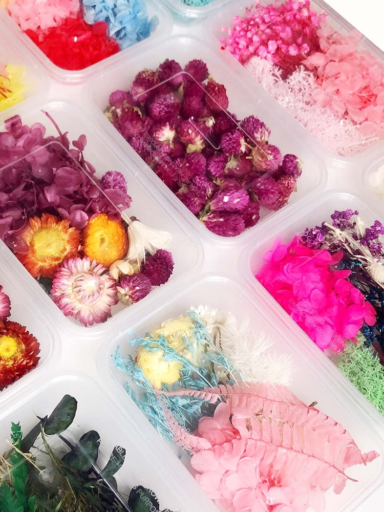 Gadgetvlot DIY Dried Flowers Material Eternal Flower Artificial Multicolor Festival Supplies Home, Size: 17