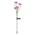 thumbnail image 2 of Lámpara de jardín forma de flor Lámpara de césped al aire libre colorida luz solar decorativa LED, púrpura 2pcs sidaley HA002386-02, 2 of 7