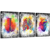 Hieng Canvas Wall Art Human Brain Rib Cage Heart Painting Art for Medical Office Wall Decor Education Science Artwork Gifts for Students Doctors Unframed