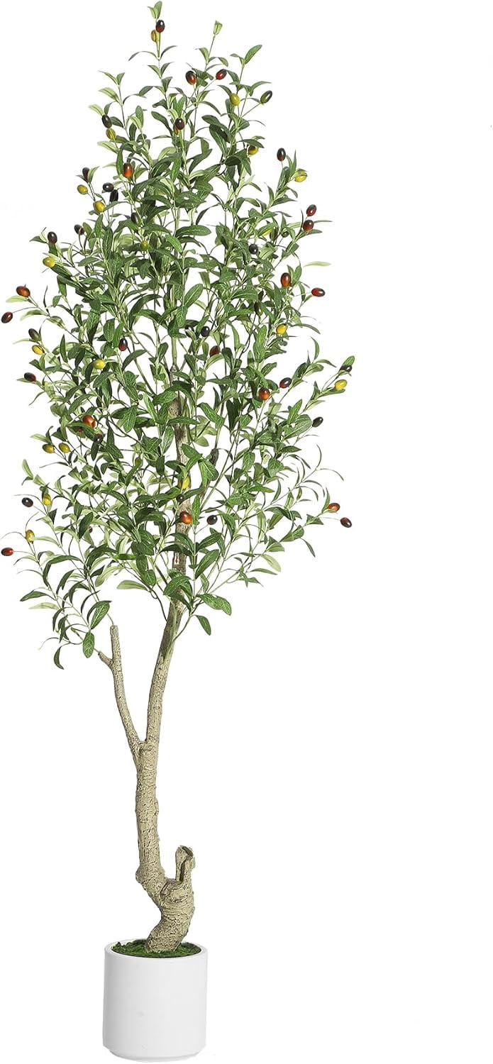 Tall Faux Olive Tree, 6ft(72in) Olive Trees Artificial Indoor with White Planter and Green Fake Moss for Home Office Living Room Bedroom Stairs Foyer Decor, 1 Pack