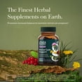 thumbnail image 3 of Gaia Herbs Period Cycle Support - Supports Hormone Balance & PMS Relief* - Herbal Supplement with Vitex Berry & Schisandra - Free from Gluten, Dairy & Soy - 60 Vegan Liquid Phyto-Caps (30 Servings), 3 of 9
