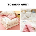 thumbnail image 4 of AZXY Summer Quilt,Cooling Comforter for Hot Sleepers,Froal Quilted Bedspreads,Reversible Stain Protection Coverlets Quilts,Air Conditioning Quilt Thin,100x150cm,Pink, 4 of 6