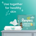 thumbnail image 6 of Pampers Baby Dry Diapers Size 6, 112 Count (Select for More Options), 6 of 16