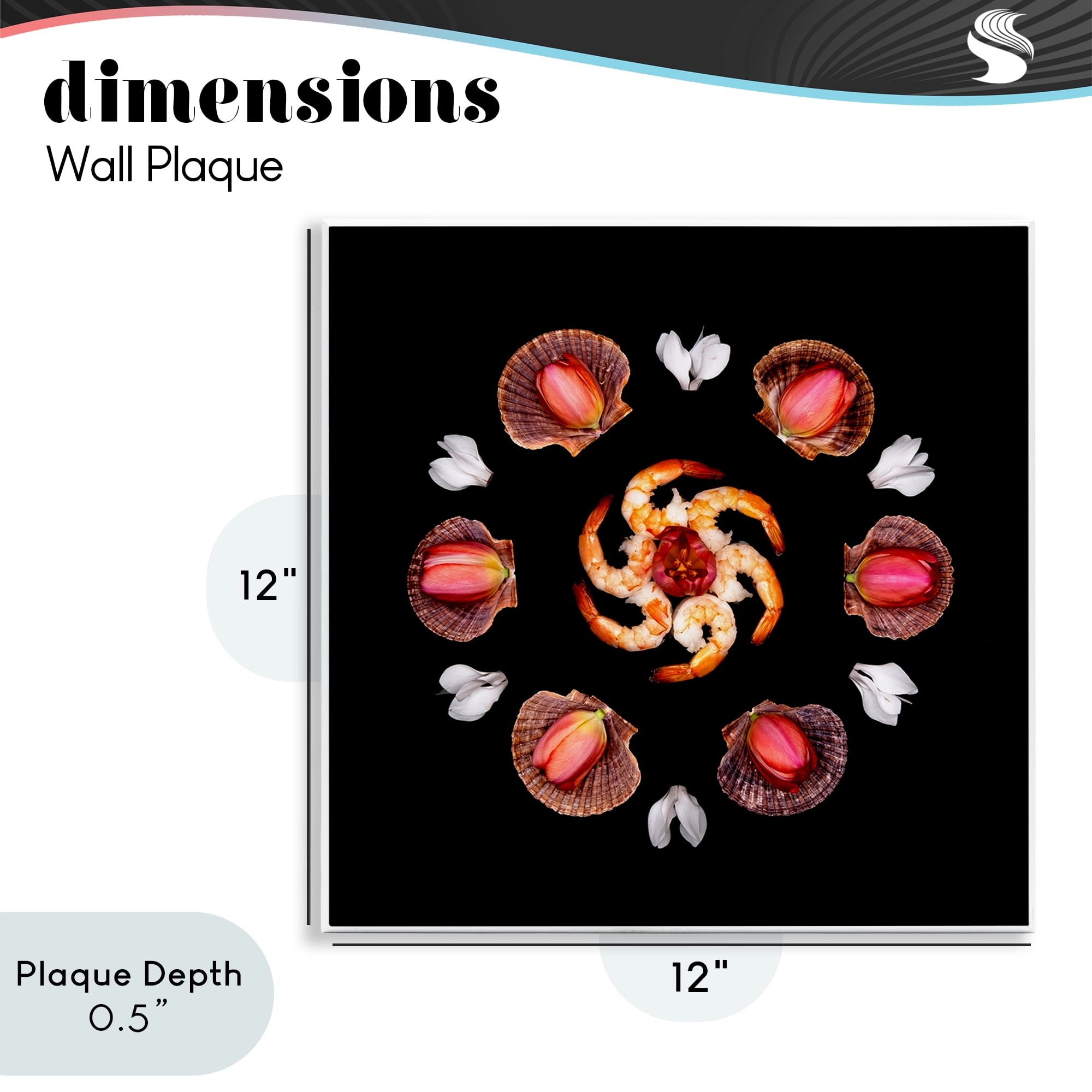 Stupell Industries Seashells & Tulips Symmetry Wall Plaque Art, design by Beth Adoette