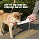 thumbnail image 5 of Botella de agua portátil para perros de 420 ml, botella para perros a prueba de fugas con fregadero giratorio para mascotas, dispensador de agua portátil, botella ligera para perros y gatos para, 5 of 5