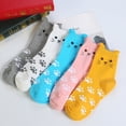 thumbnail image 5 of 5 Pairs Of Women's Cat Socks Cat Gifts Cute Animal Socks Dog Owl Gifts for Women, 5 of 7