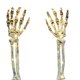 thumbnail image 3 of 2x luces de estacas de brazo de esqueleto, accesorios de mano fantasma,, 3 of 3