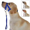 thumbnail image 2 of POINTERTECK Nylon Dog Training Head Collar  Pull  Head Harness Stops Dog Pulling with Head Leash, 2 of 8
